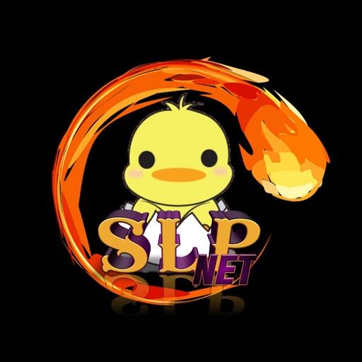 SLPNET-VPN