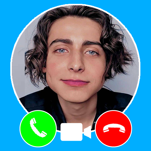 Aidan Gallagher Fake Video Call Simulator