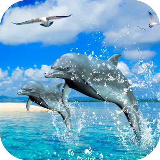 Dolphins 3D Video Wallpaper