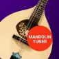Master Mandolin Tuner
