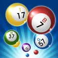 Bingo Thạc sĩ Vua