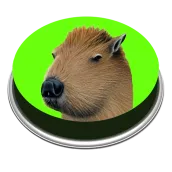 Capybara Song | Meme