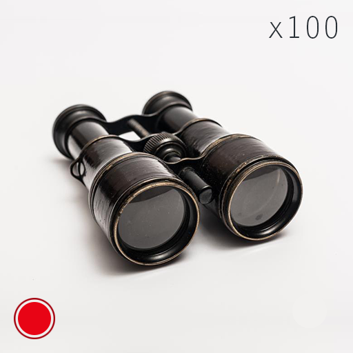 Digital Binoculars