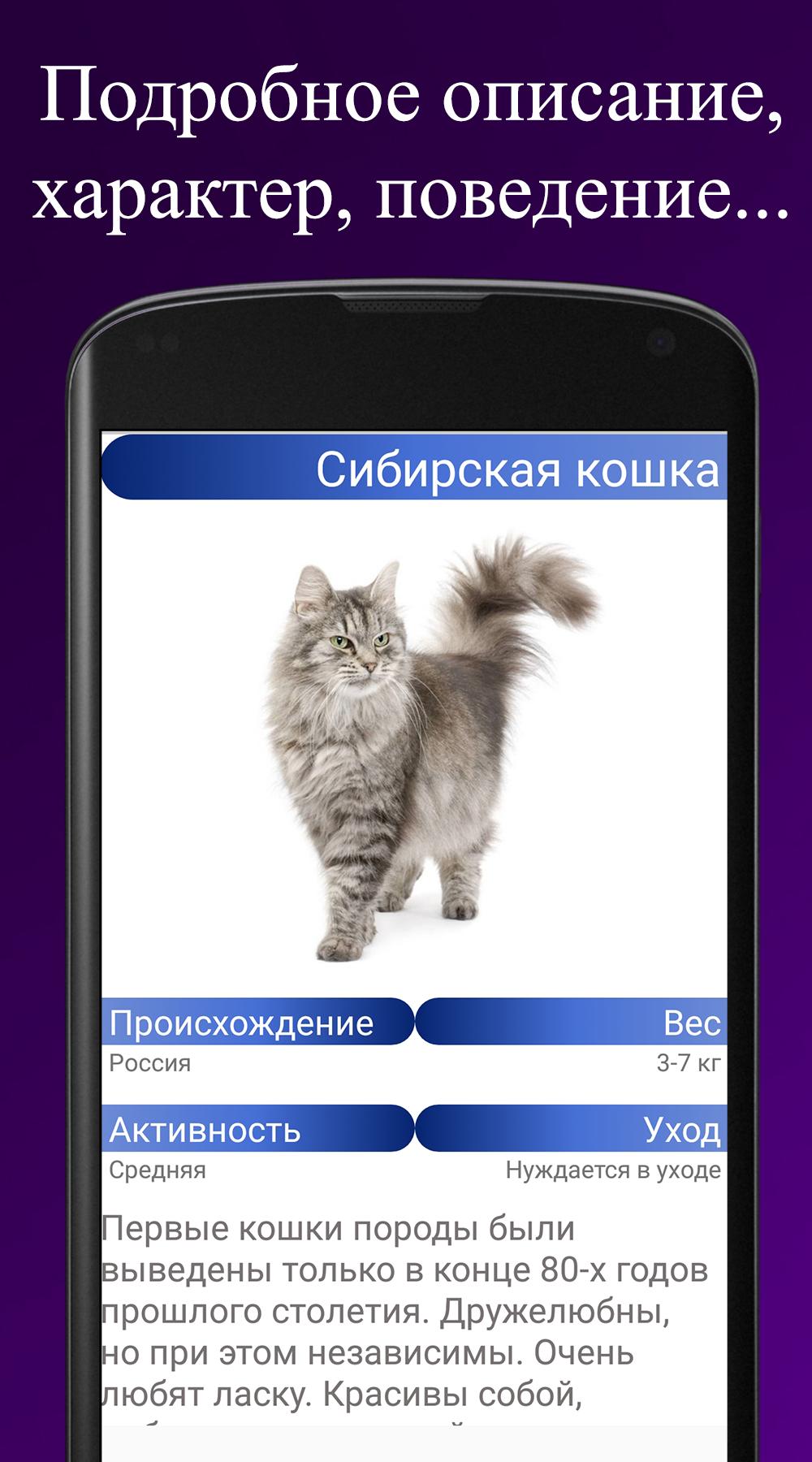 Download Породы кошек. Справочник пород android on PC