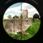 खरगोश शिकार चुनौती