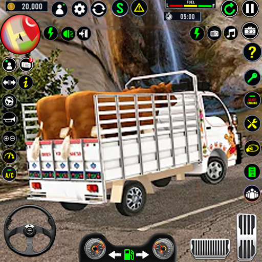 परिवहन ट्रक: पशु ट्रक