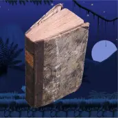 Hidden Codex