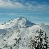 Mountains Live Wallpaper