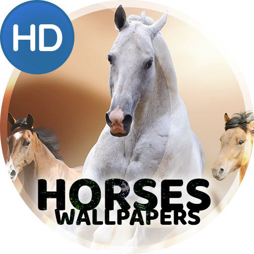Kertas dinding 4K dengan kuda