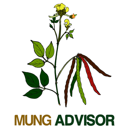 Mung Advisor