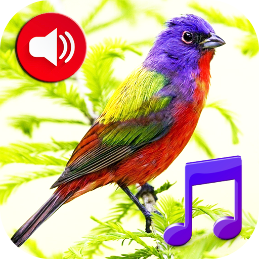 Birds Sounds Tones & Wallpaper