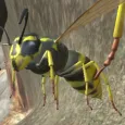 Wasp Nest Simulator - Insect and 3d animal game