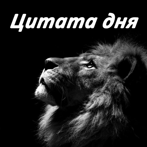 Цитата дня: Статусы, Мотивация