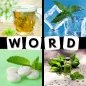 4 Pics 1 Word - Quiz Game