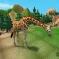 Giraffe sniper 3d hunting game