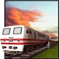 Indian Train Simulator 3D