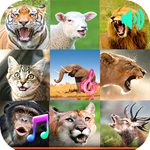 Animal Sound Ringtone