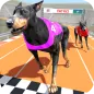 Чемпионат собачьих бегов 2022