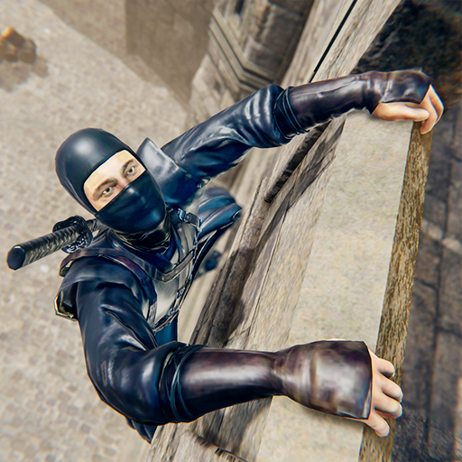Bóng ninja kiếm chiến đấu 3d