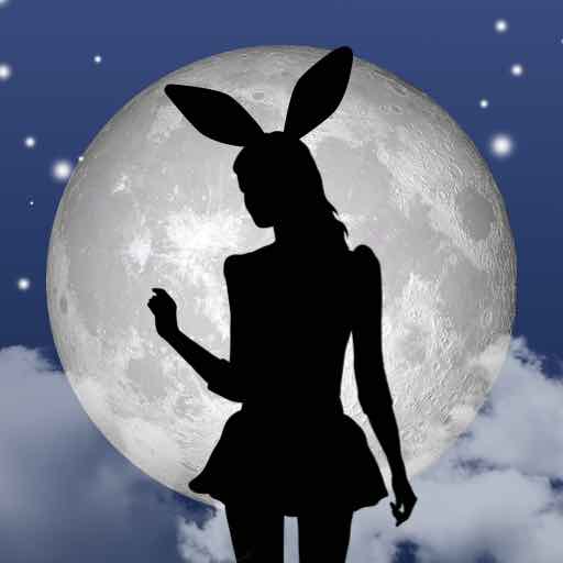 Bunny Girls - video chat