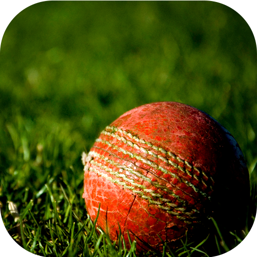 Cricket Wallpapers