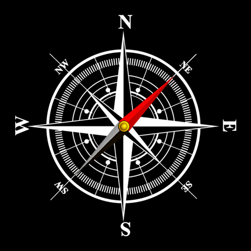 Digital Compass Simulator