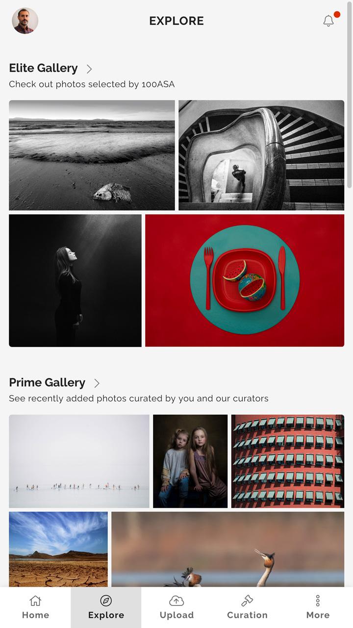 gallery
