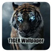 Black Tiger Wallpapers | Cool