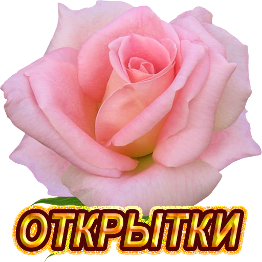 Открытки и поздравления на все