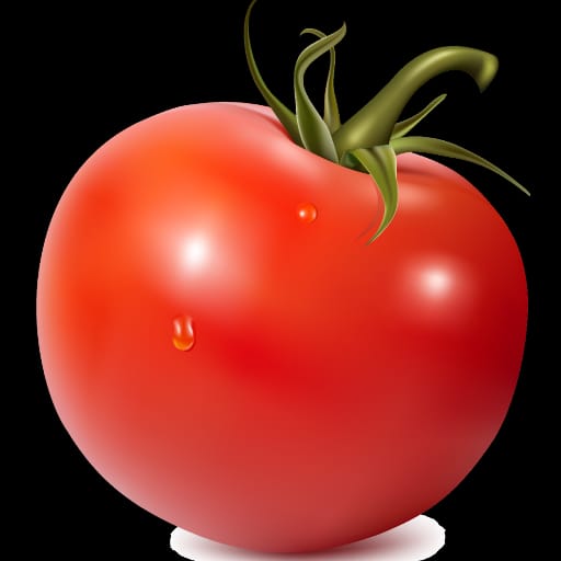 VIP TOMATO VPN