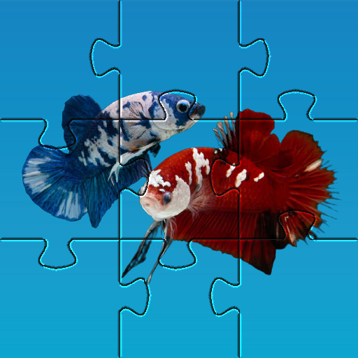 Betta Fish Puzzle