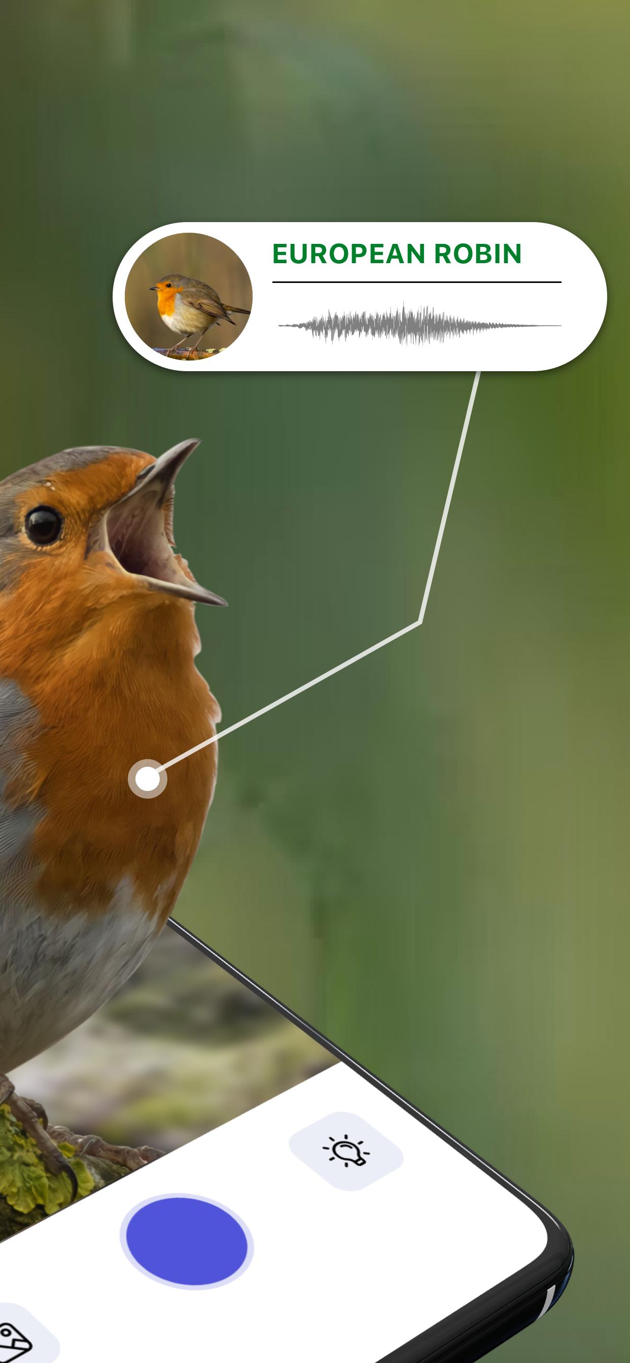 Download Bird Sound Identifier Bird ID android on PC