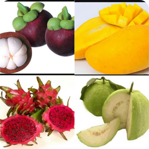 NAMA BUAH-BUAHAN