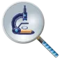 Magnifying glass & Magnifier &