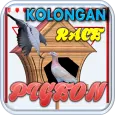 Kolongan Pigeon Race