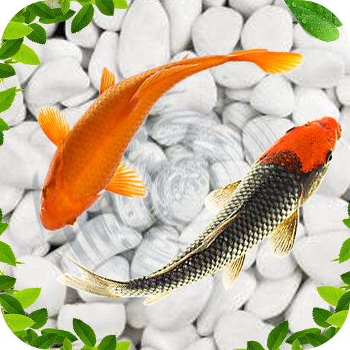 Koi Fish Live Wallpapers 3D