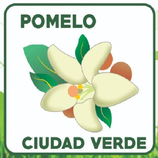 Pomelo