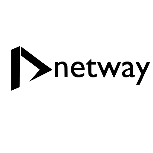 Netway Personal Tecnico