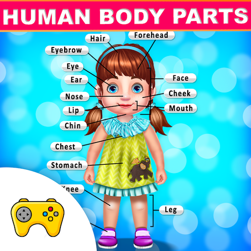 Kids Learning Human Bodyparts 