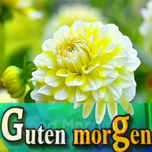 Guten Morgen Bilder Romantik