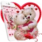 Lovely Pink Sweet Teddy Couple Theme