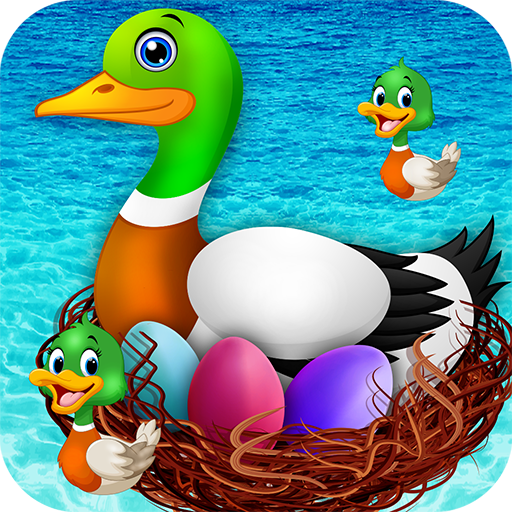 Duck Breeding Farm