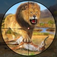 Real Animal Kingdom Hunting 3D