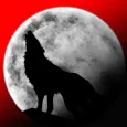 Heros - A Lone Wolf Journey