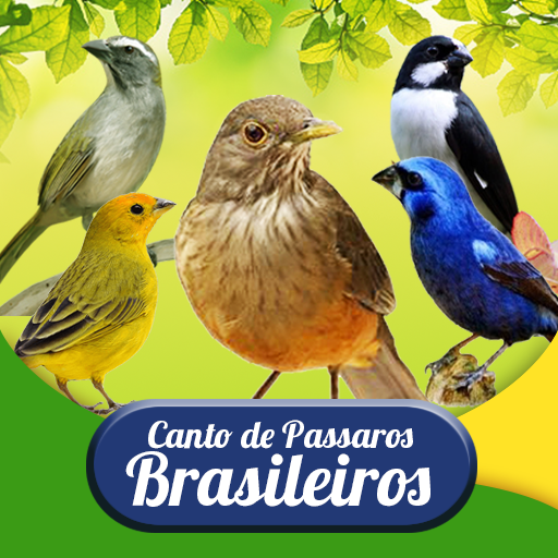 Canto de Pássaros Brasileiros