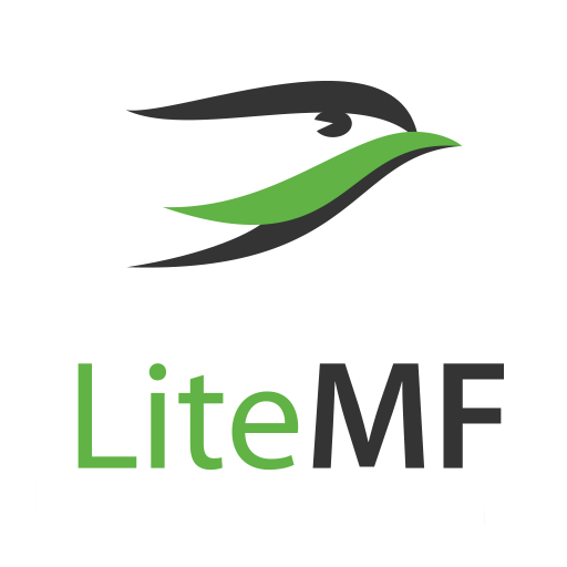 LiteMF: buyout and shipping