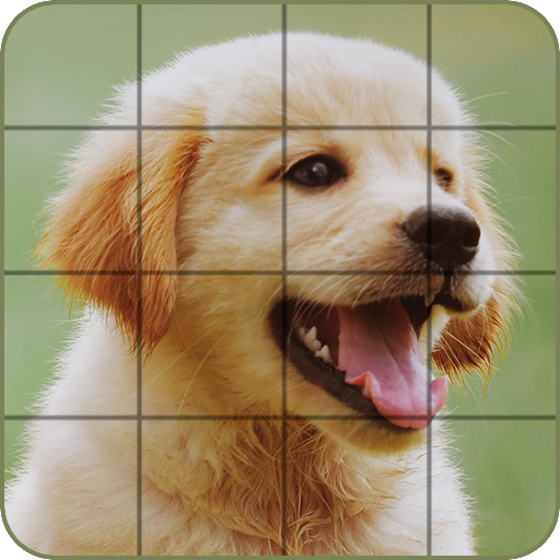 Puzzle - Dogs and Puppies