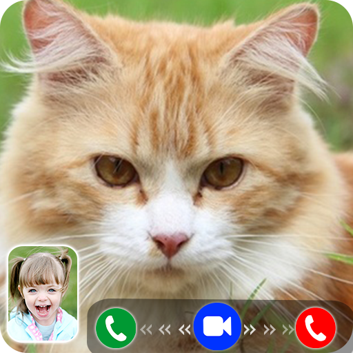 Cat Video Call/Fake Video Call