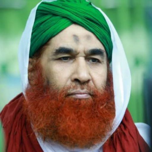 Maulana ilyas Qadri Books