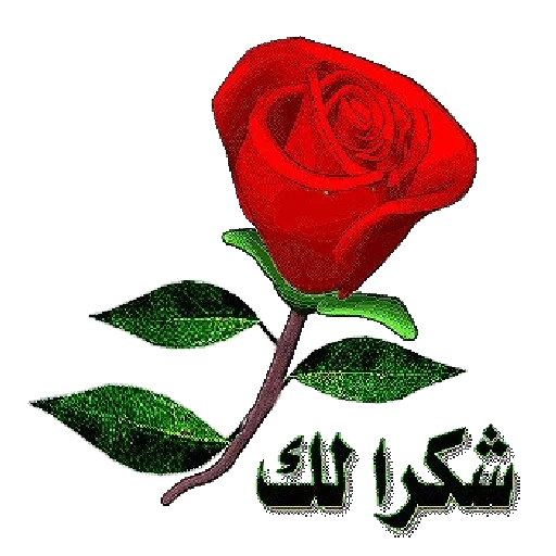 ملصقات شكر و تقدير للواتس🌷   WAstickerApp